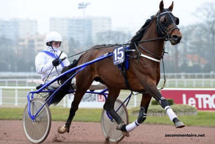 Maxi Prono Vérité