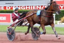 Pronostic Pmu Quinté Du Jour (2)