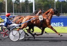 Quinté Gagnant Vip