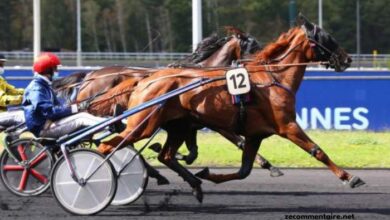 Quinté Gagnant Vip