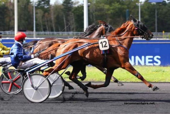 Quinté Gagnant Vip
