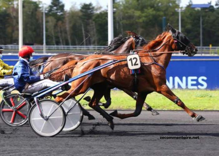 Quinté Gagnant Vip