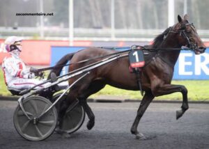 123 Milliardaire Turf