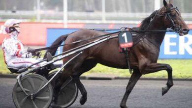 123 Milliardaire Turf