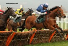3 Chevaux Gagnant