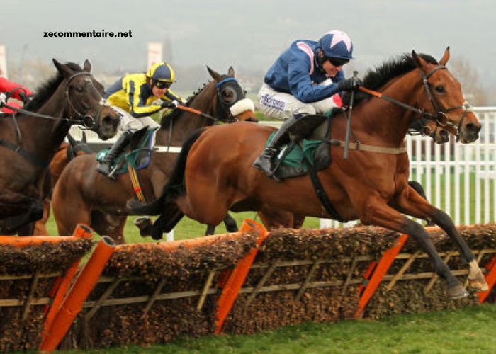 3 Chevaux Gagnant