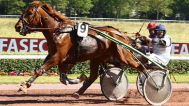 8 Chevaux Turf Magique (2)