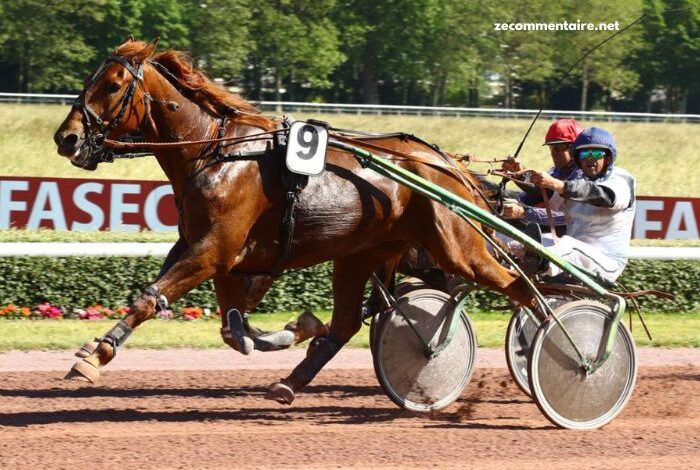 8 Chevaux Turf Magique (2)