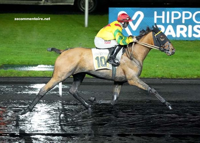 Jpgturf Vip Gratuit