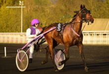 LA Voyeuse Cplemaire