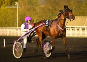 LA Voyeuse Cplemaire