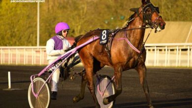 LA Voyeuse Cplemaire