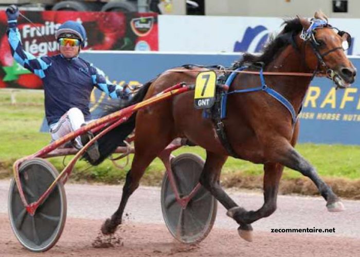 Meilleur Pronostic 3 Chevaux (1)