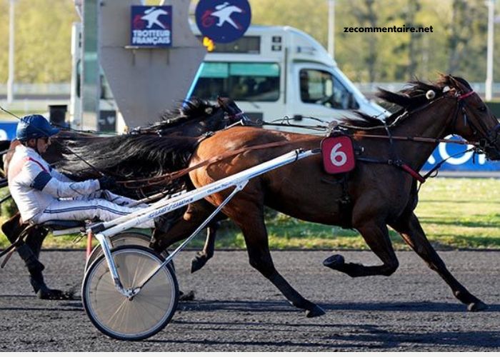 Programme Pmu DE Demain Lonab Pronostics (1)