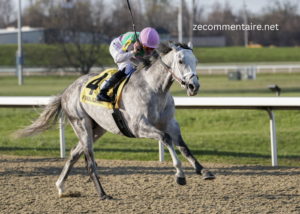 The Future of Hybrid Racing Surfaces